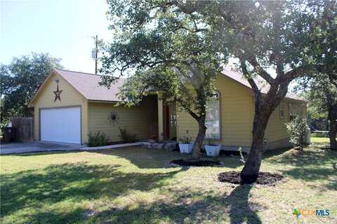 Miranda Court, Johnson City, TX 78636