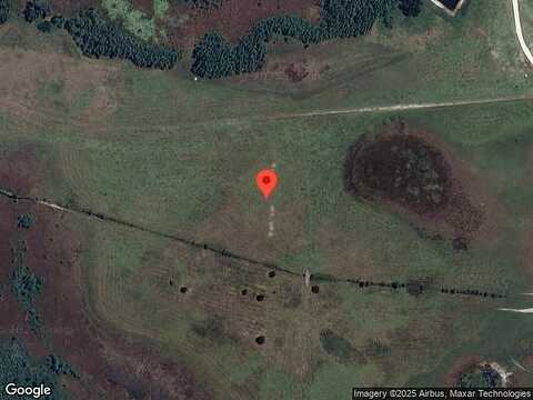 Raised Tulip Lane, Land O Lakes, FL 34637