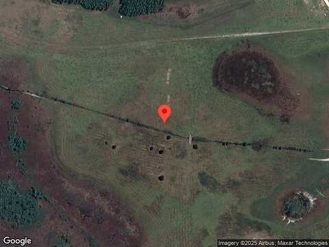 Raised Tulip Lane, Land O Lakes, FL 34637
