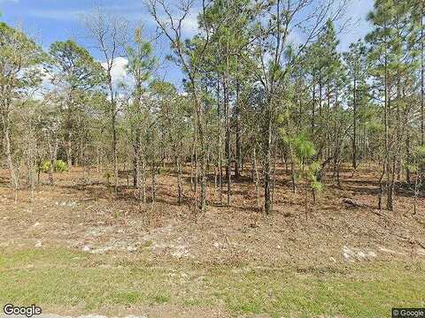 Sw 137Th Ct, Dunnellon, FL 34432