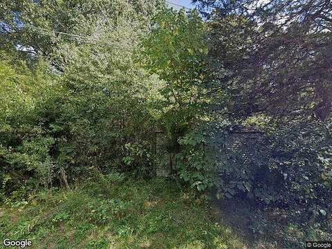 Robertson Loop Rd, Clarkesville, GA 30523