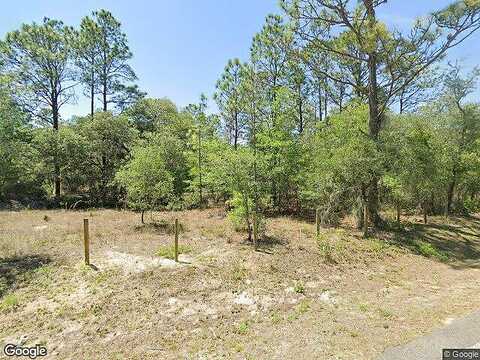 Sw 204Th Ave, Dunnellon, FL 34431