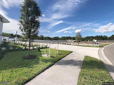 Spanish Moss Cv, Bradenton, FL 34203