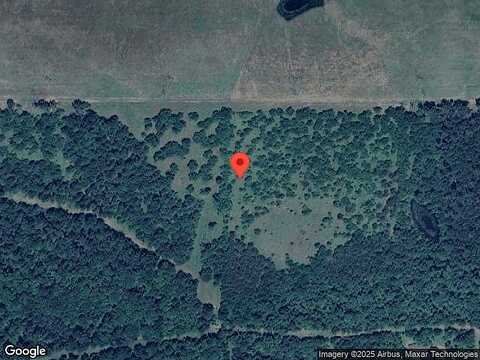 Monarch Trail, Huntsville, TX 77340