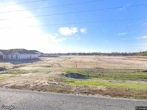Lanier Rd, Ludowici, GA 31316