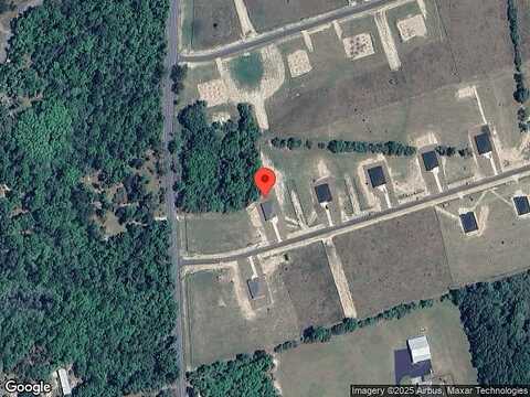 Golden Loop, Crawfordville, FL 32327