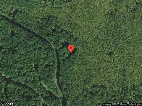 Paper Birch N, Greentown, PA 18426