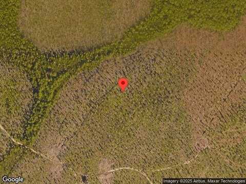 River Rise Way, Inlet Beach, FL 32461