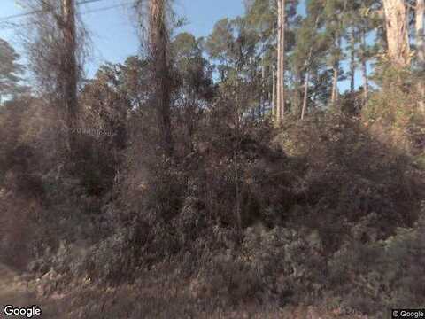 Cartwhittaker Ln, Pomona Park, FL 32181