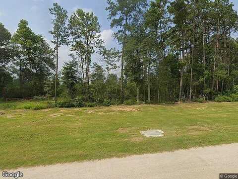 Placid Stream St, Conroe, TX 77302