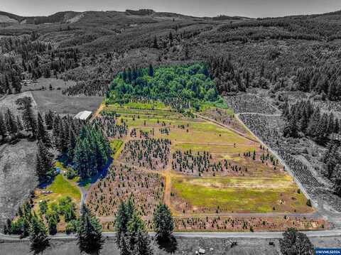 Evergreen, LYONS, OR 97358