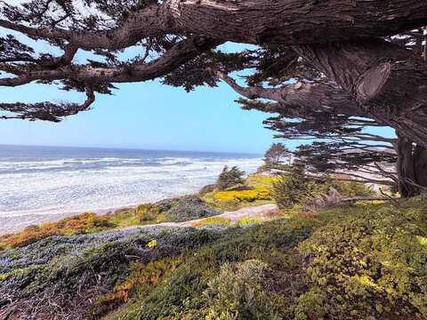 Ocean, Moss Beach, CA 94038