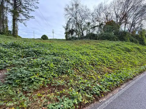 Edwina-Bridgeport Road, Newport, TN 37821