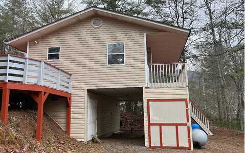 Wildcat, HIAWASSEE, GA 30546