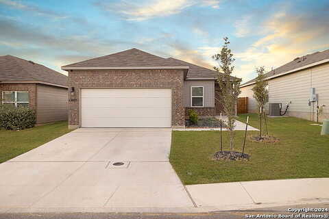 Heathers Elm, SAINT HEDWIG, TX 78152