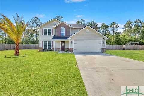 Pine View, LUDOWICI, GA 31316