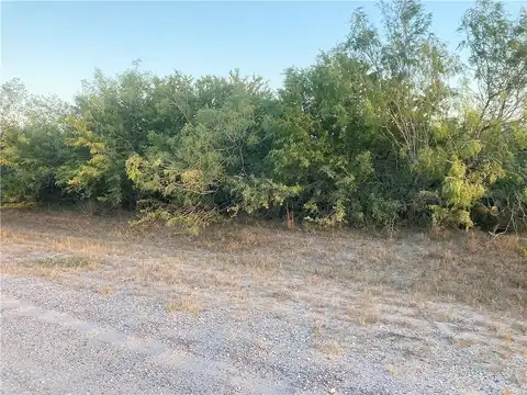 W Cr 303, Orange Grove, TX 78372