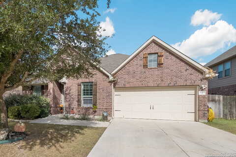 Western Pecan, NEW BRAUNFELS, TX 78130