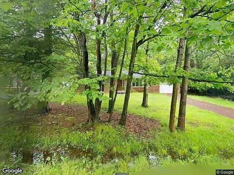Scotch Pine, POCONO SUMMIT, PA 18346