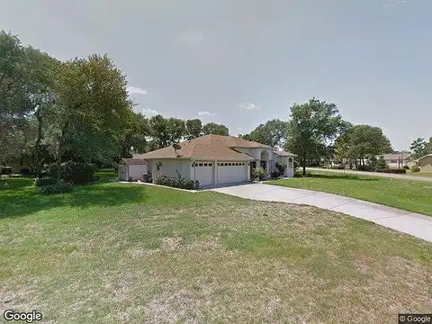 Rudi, SPRING HILL, FL 34609