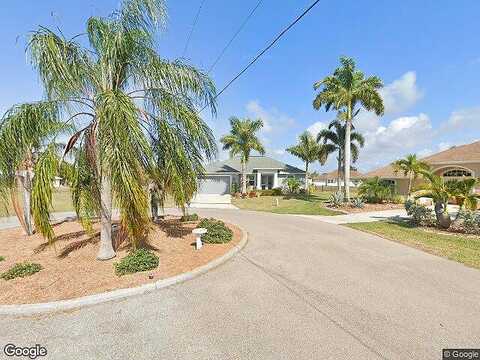 Ficus Tree, PUNTA GORDA, FL 33955