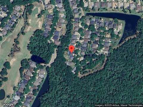 Bent Grass, VALRICO, FL 33596