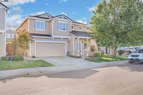 Kevin, AMERICAN CANYON, CA 94503