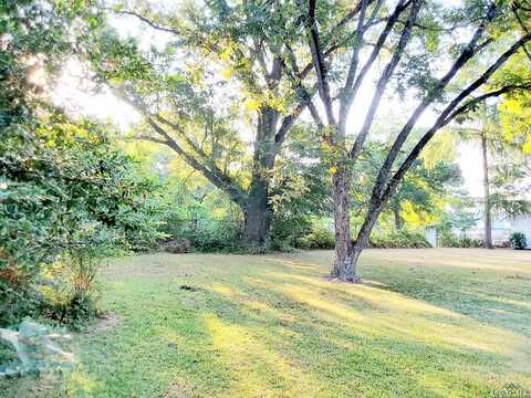 Park, ATLANTA, TX 75551
