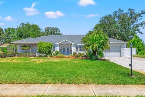River Birch, SPRING HILL, FL 34607