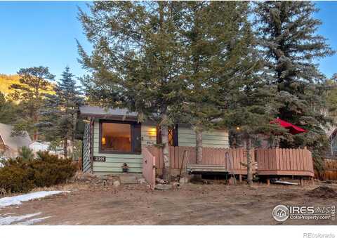 Wild Bear, ESTES PARK, CO 80517