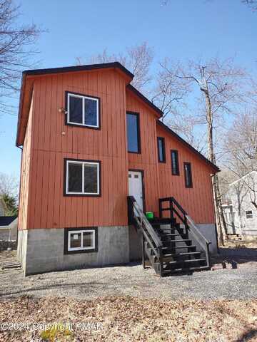 Black Birch, TOBYHANNA, PA 18466