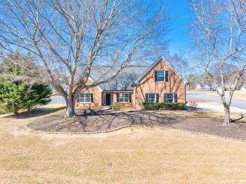 Platinum, HOSCHTON, GA 30548