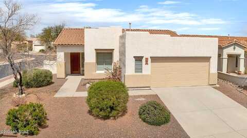 Big Wash, ORO VALLEY, AZ 85755