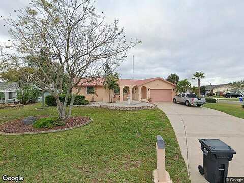 Sago Palm, APOLLO BEACH, FL 33572