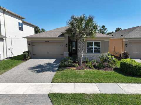 Mountain Spruce, WESLEY CHAPEL, FL 33543