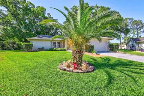 Lomond, PALM HARBOR, FL 34684