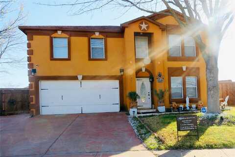 Mazourka, ARLINGTON, TX 76001