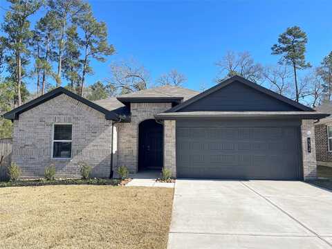 Cicero, Pinehurst, TX 77362
