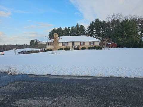 Sugar Maple, MARRIOTTSVILLE, MD 21104