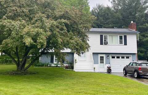 Pine, COLCHESTER, VT 05446