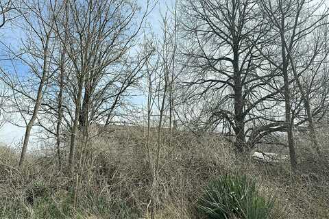 Wilmoth, PLEASANT HILL, MO 64080