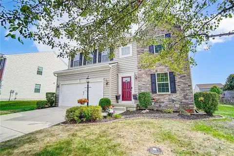 Daffodil, XENIA, OH 45385