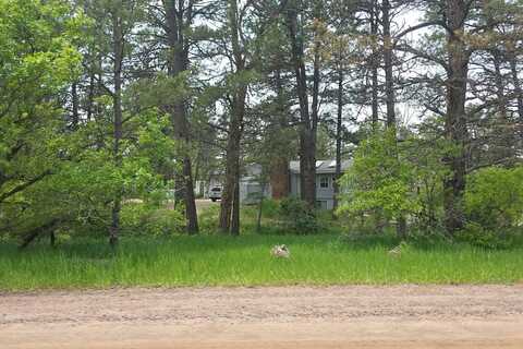 Ponderosa, FRANKTOWN, CO 80116