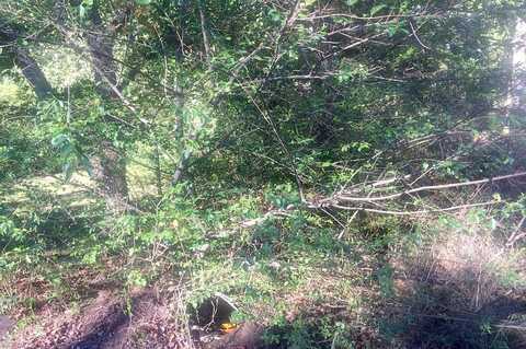Verner, LAWRENCEVILLE, GA 30043
