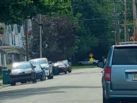 Adams, LATROBE, PA 15650