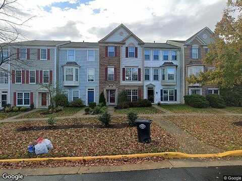 Chokeberry, ASHBURN, VA 20147