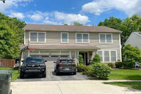 Collins, SOUTH ELGIN, IL 60177