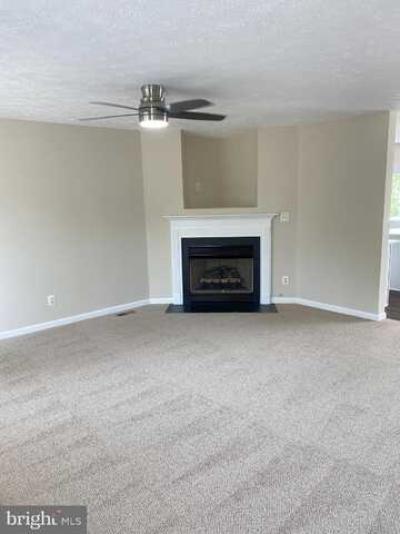 Clint, FREDERICKSBURG, VA 22405