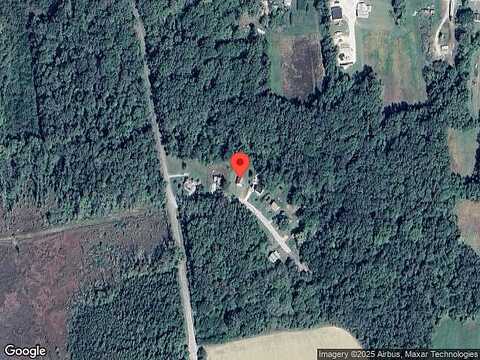 Quail, PORT NORRIS, NJ 08349