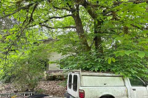 Bishop Creek, DEER ISLAND, OR 97054